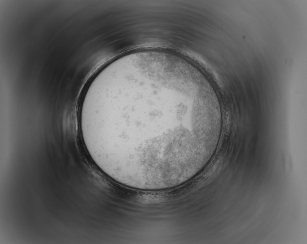 X0000087311274200705112109