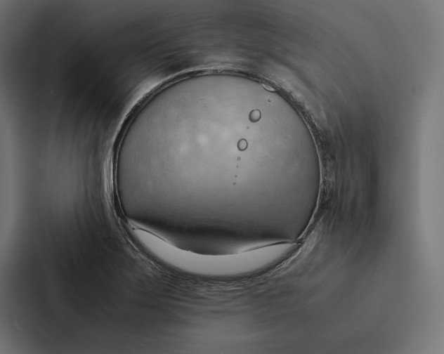 X0000087311275200705112109