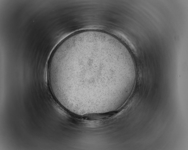 X0000087311276200705112109