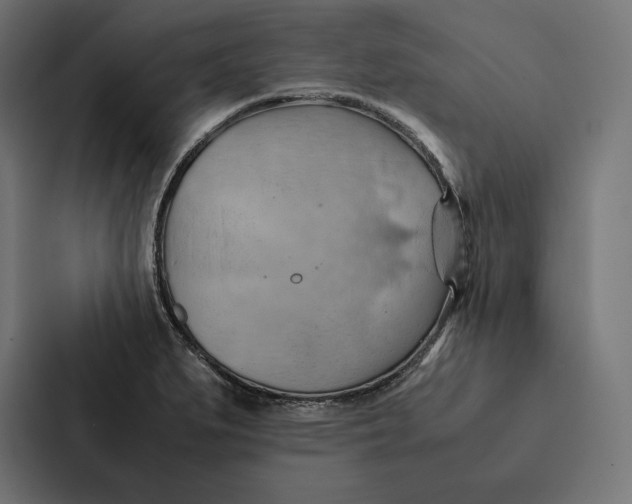 X0000087311279200705112109