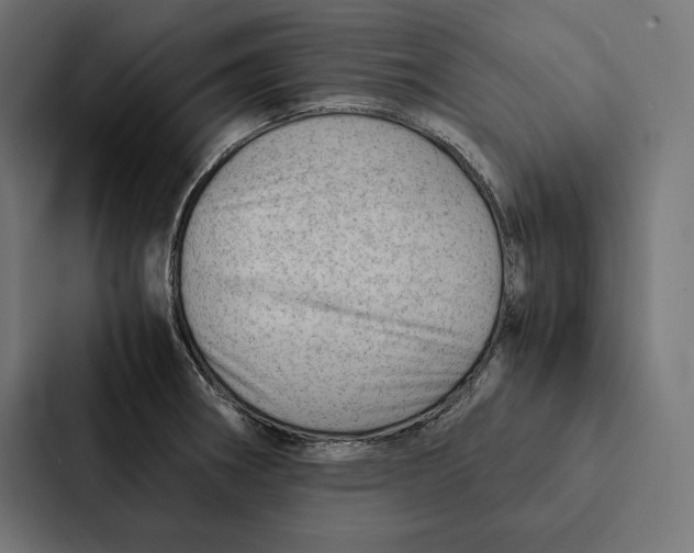 X0000087311282200705112109