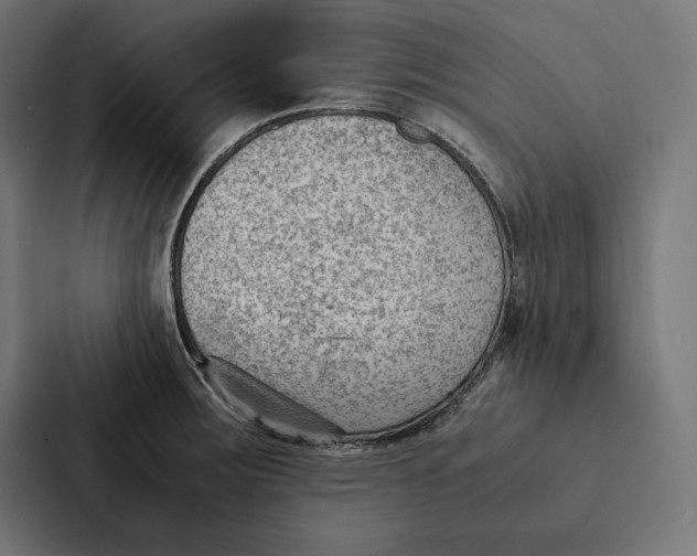 X0000087311283200705112109