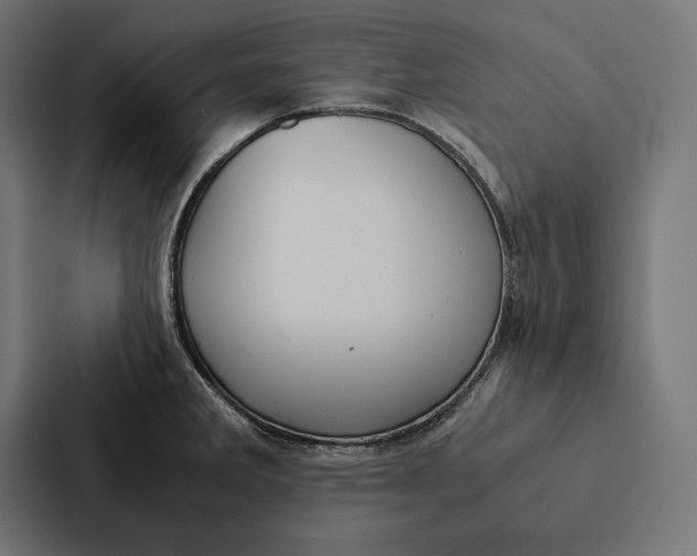 X0000087311285200705112109