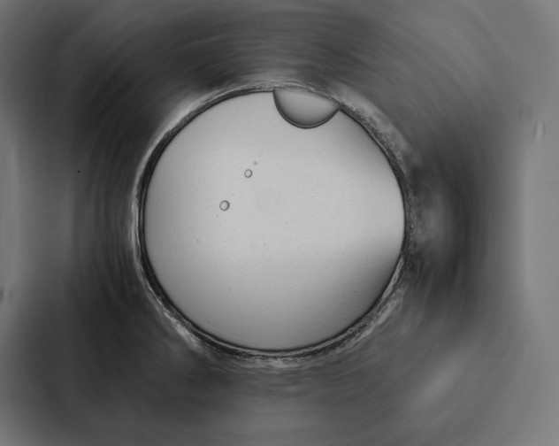 X0000087311286200705112109