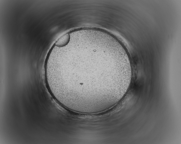 X0000087311287200705112109