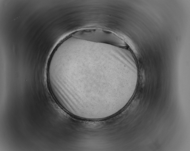 X0000087311288200705112109