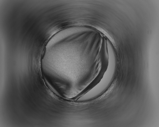 X0000087311289200705112109