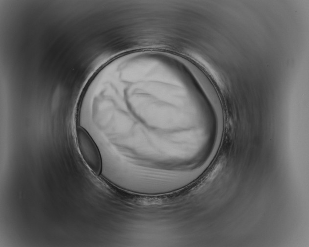 X0000087311291200705112109