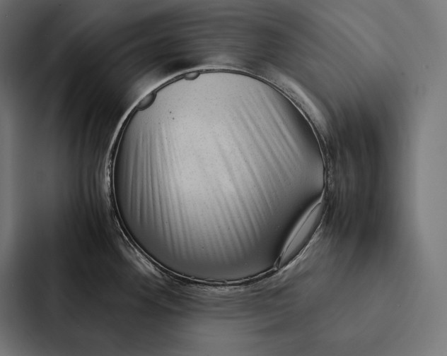 X0000087311292200705112109