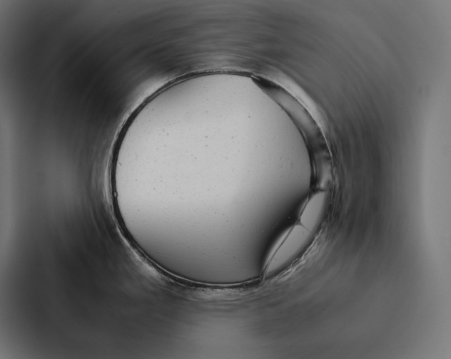 X0000087311293200705112109