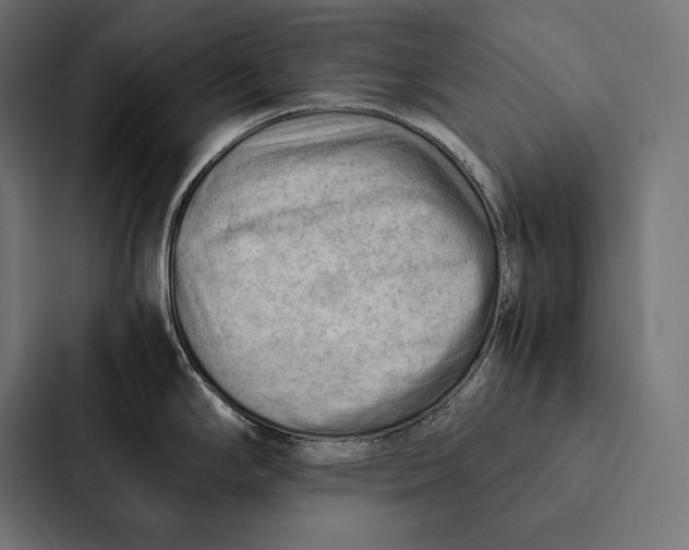 X0000087311294200705112109