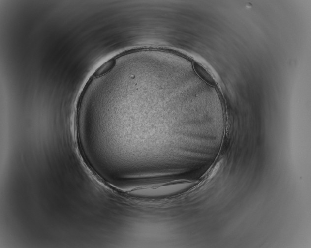 X0000087311295200705112109