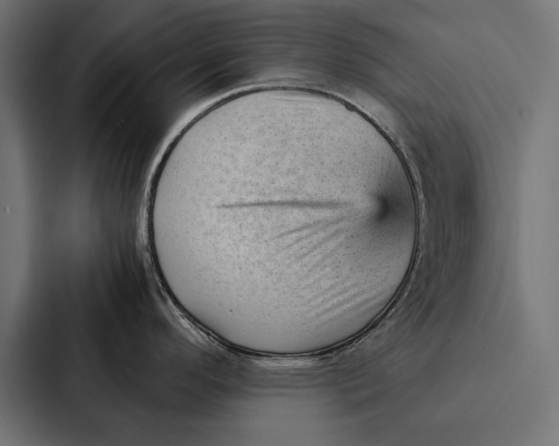 X0000087311296200705112109