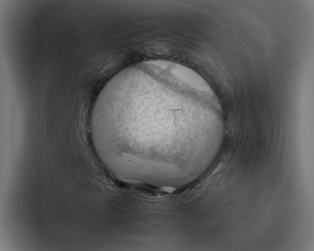 X0000087311297200705112109