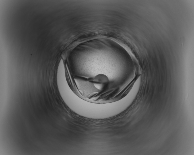 X0000087311298200705112109