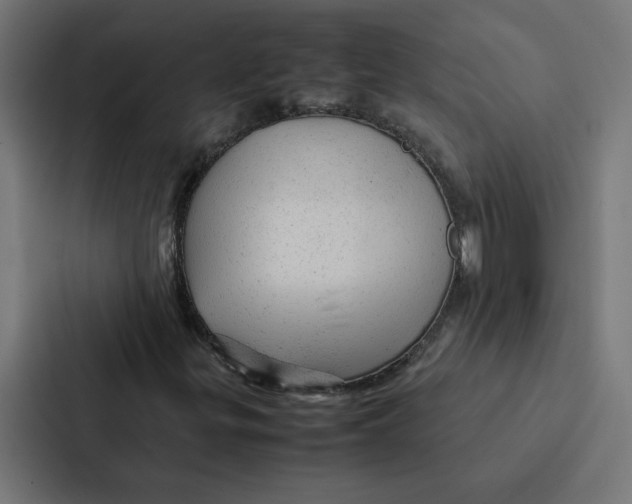 X0000087311299200705112109