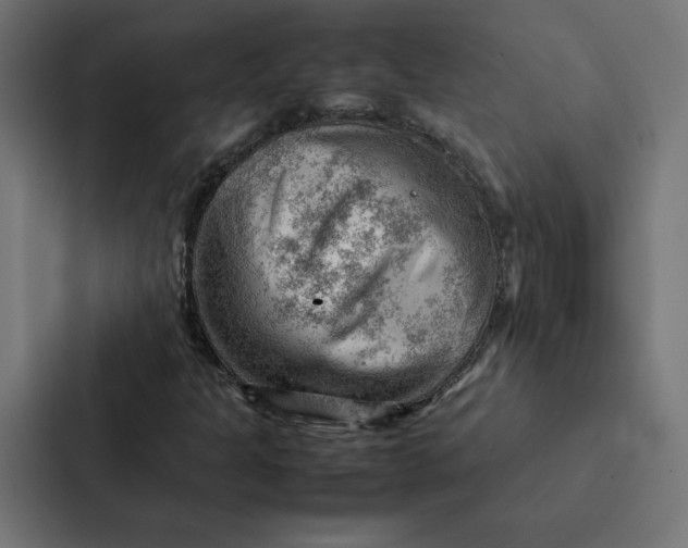 X0000087311301200705112109