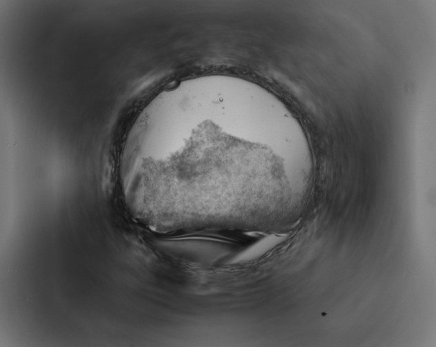 X0000087311303200705112109