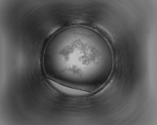 X0000087311305200705112109