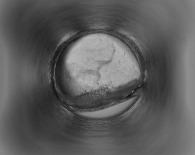 X0000087311306200705112109