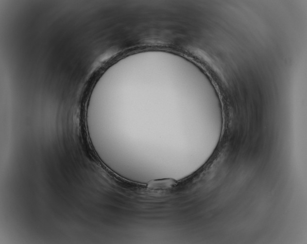 X0000087311307200705112109