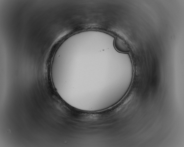 X0000087311309200705112109