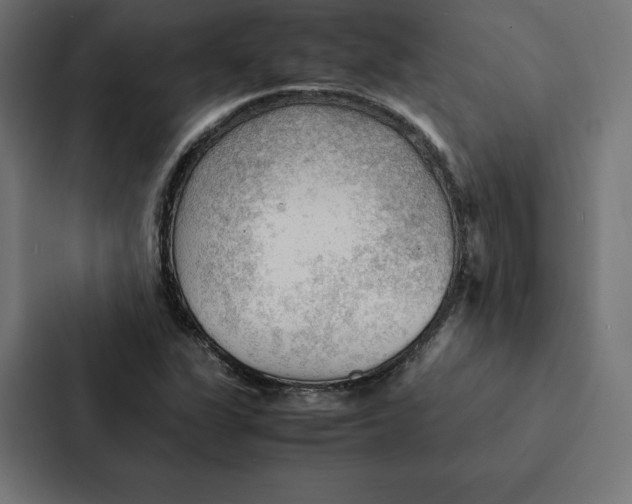 X0000087311311200705112109