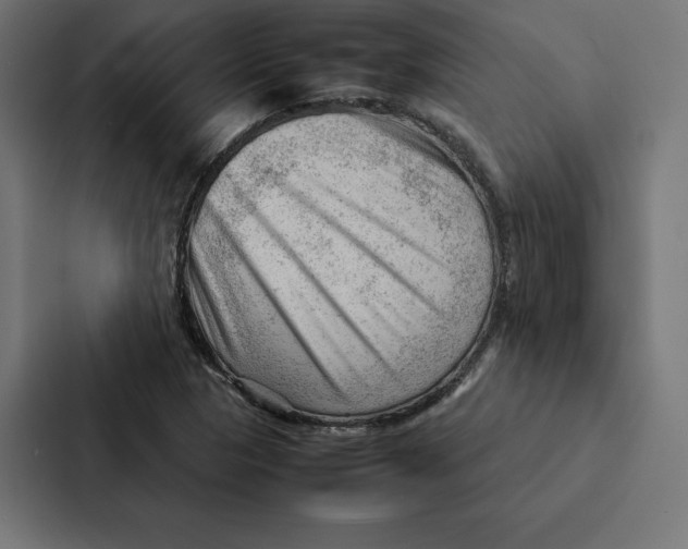 X0000087311313200705112109