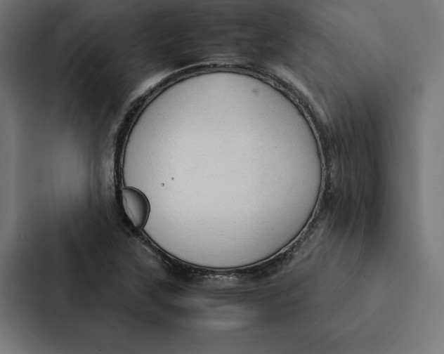 X0000087311315200705112109