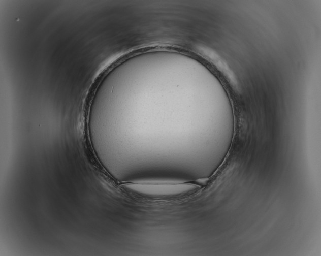 X0000087311316200705112109