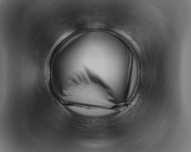 X0000087311317200705112109