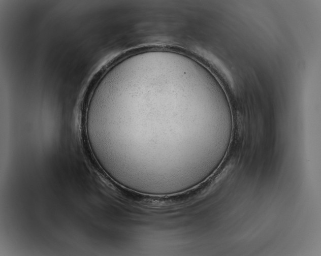 X0000087311318200705112109