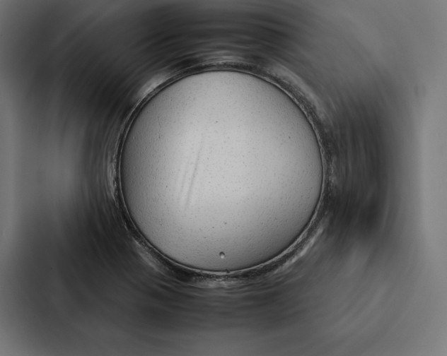 X0000087311321200705112109