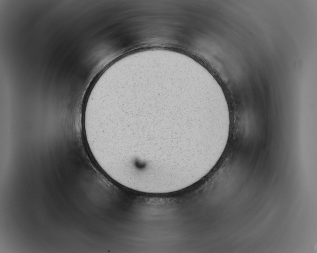 X0000087311322200705112109