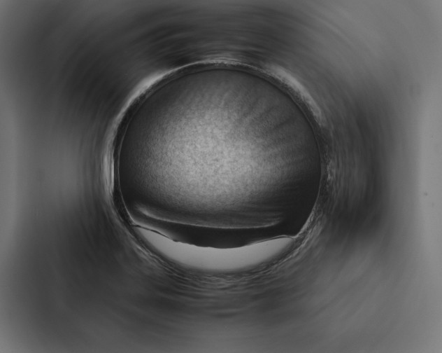 X0000087311323200705112109