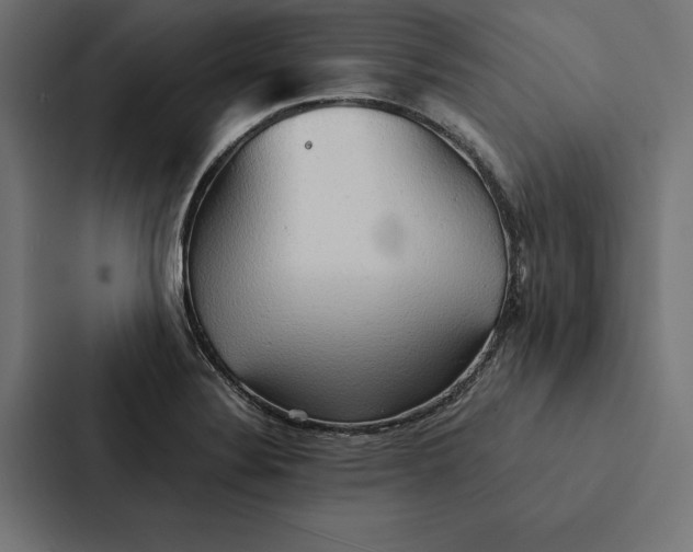 X0000087311324200705112109