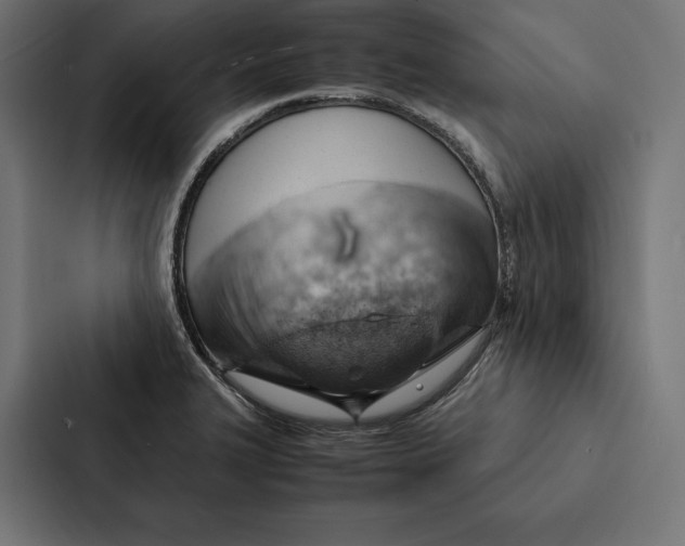 X0000087311327200705112109