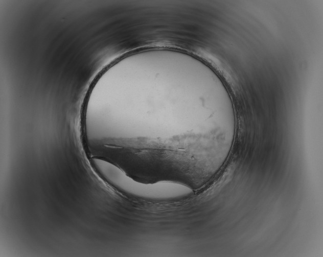 X0000087311331200705112109