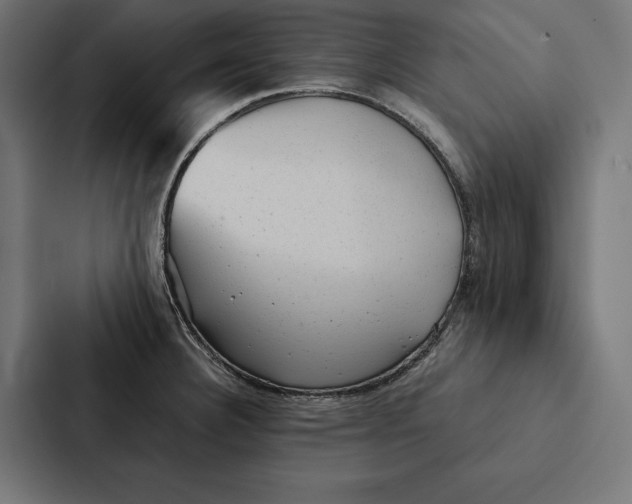 X0000087311332200705112109