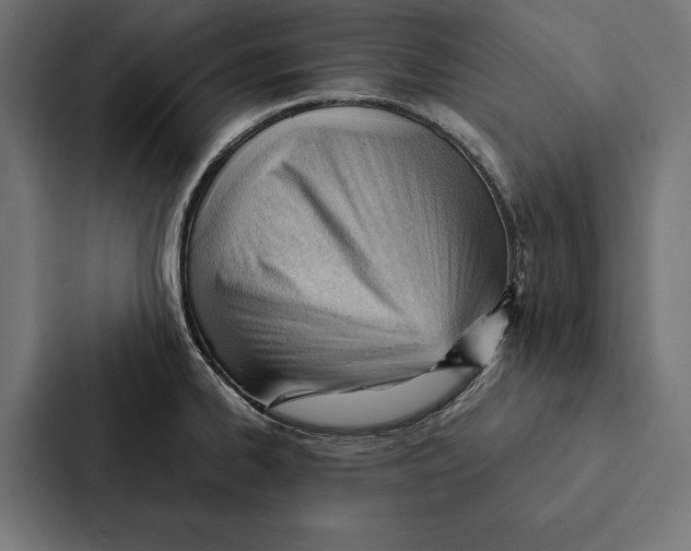 X0000087311334200705112109