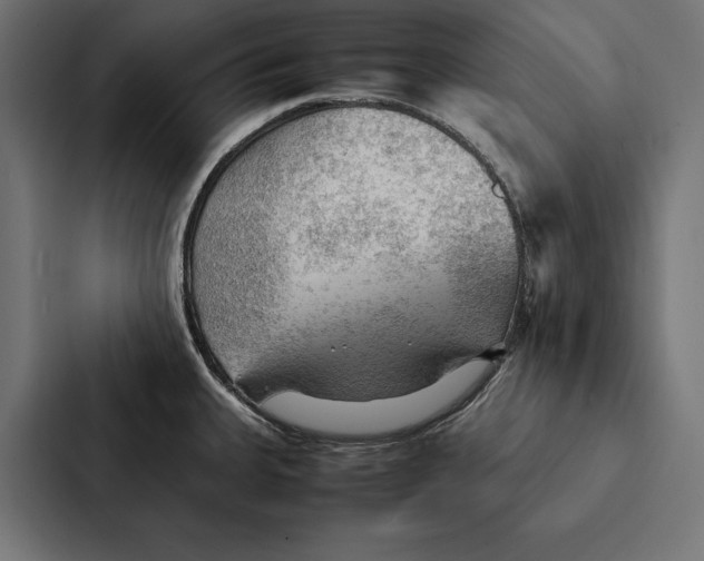 X0000087311335200705112109