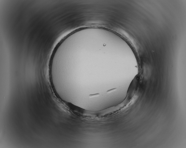 X0000087311336200705112109