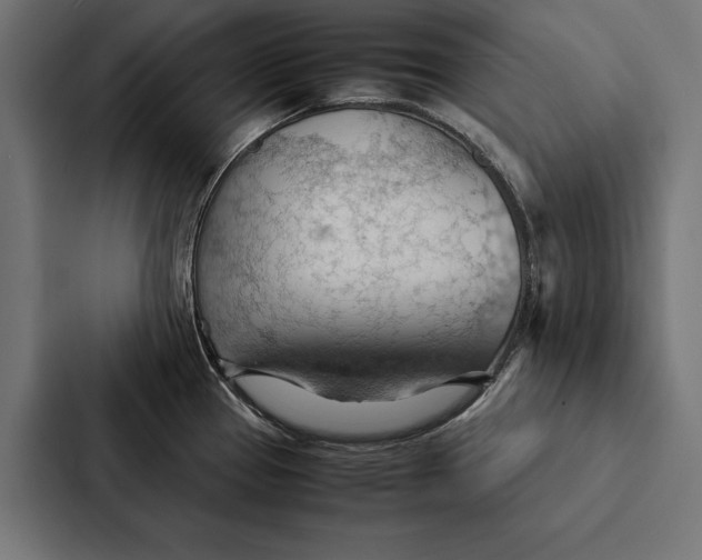 X0000087311337200705112109