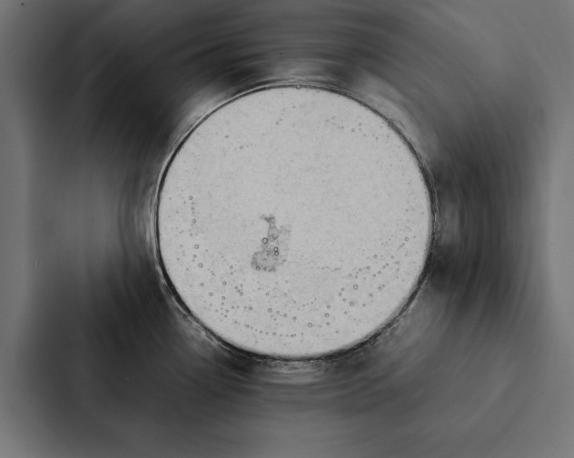 X0000087311338200705112109