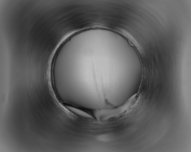 X0000087311339200705112109