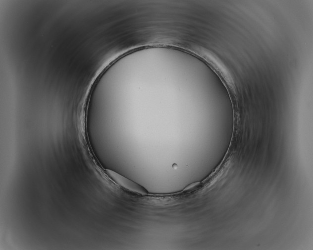 X0000087311340200705112109