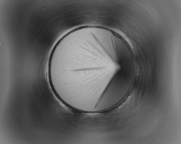 X0000087311343200705112109