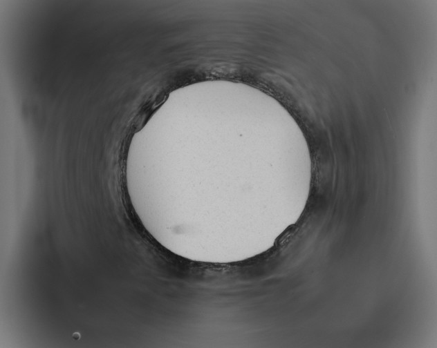 X0000087311345200705112109