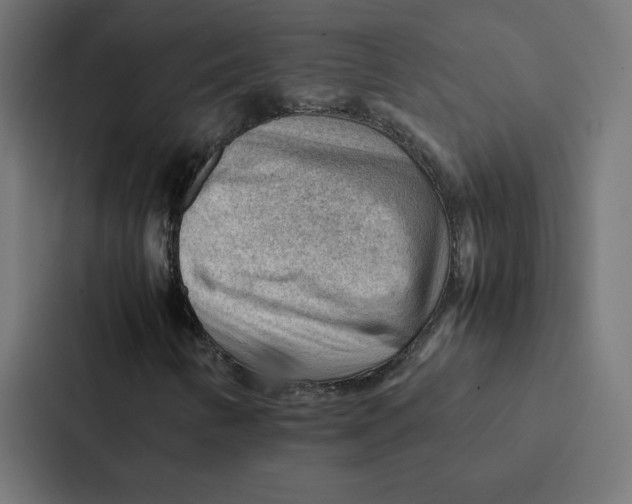 X0000087311346200705112109