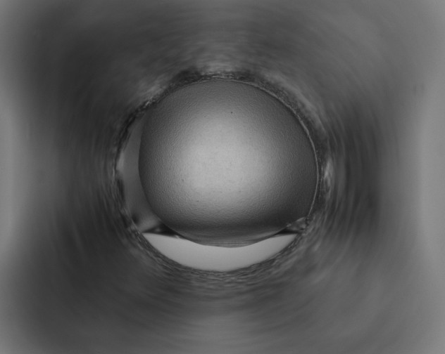 X0000087311348200705112109